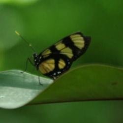 45 farklı tür bu bahçede! 3 milyonu aşkın ziyaretçi ağırladı