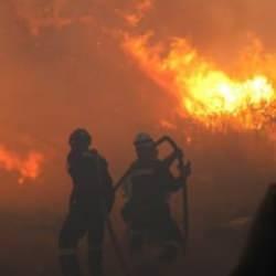 Adalet Bakanı Tunç'tan orman yangınlarıyla ilgili açıklama: 67 şüpheliden 13’ü tutuklandı