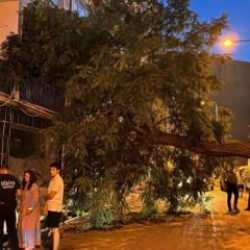 Balkonda kahve içen kadının üzerine ağaç devrildi!