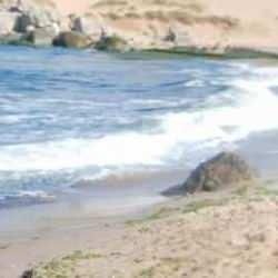 Beykoz'da denize girmek yasaklandı