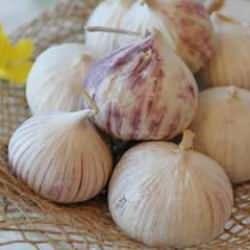 Bu sarımsağı toplamak yasak: Cezası 557 bin lira!