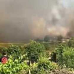 Çiftçiyi kahreden manzara: 30 dönümlük buğday tarlası cayır cayır yandı