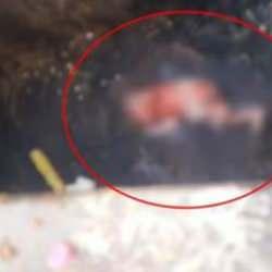 Doğurup çöp konteynerine attığı bebeği esnaf fark etti!