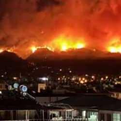 Dörtyol'daki orman yangınıyla ilgili gözaltına alınan şüpheli tutuklandı