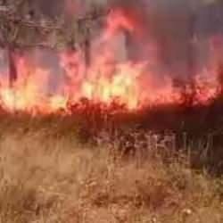 İstanbul'da ormanda çıkan yangın söndürüldü