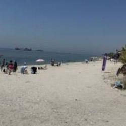 İstanbul’da vatandaşın plaj çilesi: Tuvalet ve kabin yok, ortalık çöplük içinde