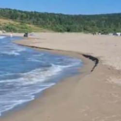 Kocaeli'de acı olay: Engelli kızını kurtardı, kendisini hayatını kaybetti