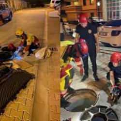 Konya Büyükşehir İtfaiyesi'nden yavru köpek operasyonu 