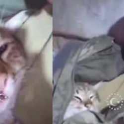 Şehit &Ouml;zkan &Ouml;zkanlı&rsquo;dan geriye kalan g&ouml;r&uuml;nt&uuml;ler duygulandırdı