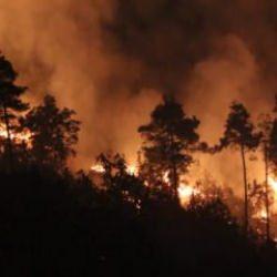 Suriye'deki yangın Türkiye'ye sıçradı