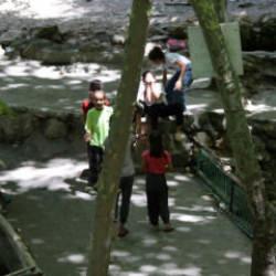 Tabelayı gören şaşırıp kalıyor: Rahatsız olan köylünün güldüren çözümü