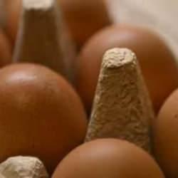Tavuk yumurtalarının ihracatı kayda bağlandı
