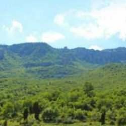 Vali duyurdu: Konya'da ormana girişler yasaklandı!