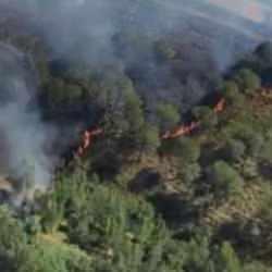 İtalya alev alev yanıyor! Sardinya Adası'nın 20 noktasında yangın!