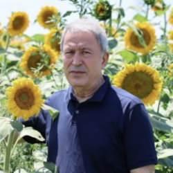 Hulusi Akar'dan ayçiçeği tarlasında anlamlı mesaj: Terörsüz Büyük Güçlü Türkiye - TBGT 