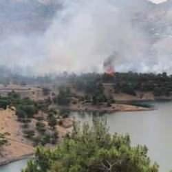 Adıyaman'da orman yangını