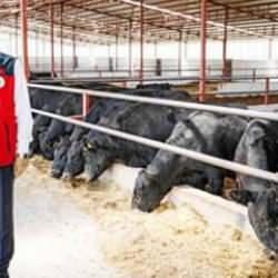 Bakan Yumaklı: Üreticilere hayvan başına 18 bin lira destek vereceğiz!
