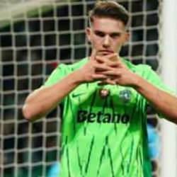 Bitti denilen transferde kriz! F.Bahçe'den taraftarını ateşleyecek Gyökeres girişimi