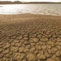 Çölleşme tehlikesi kapıda! Sulak alanlar hızla yok oluyor