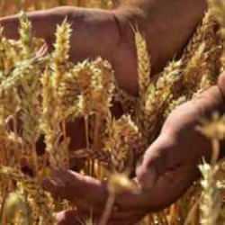 D&uuml;nyanın en eski mesleği ortaya &ccedil;ıktı! Bakın o meslek neymiş