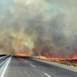  Edirne'de anız yangını: Zincirleme kaza meydana geldi! Kara yolu kapatıldı