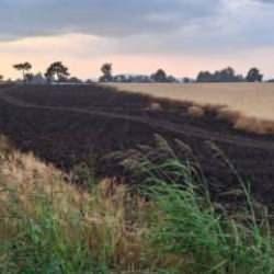 Kara haber dedikleri bu olsa gerek: 8 tonluk emeği, 15 dakikada k&uuml;l oldu!