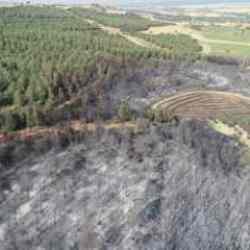 Orman yangınlarında son durum: Tekirdağ kontrol altında, Balıkesir'de 2. güne girildi!