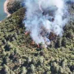 Sultangazi'de orman yangını: Kontrol altına alındı!