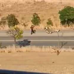 Suriye'de ateşkesi reddeden Dürzi lider el-Hicri'nin amacı ne? 