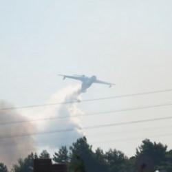 Urla'daki orman yangını kontrol altında!