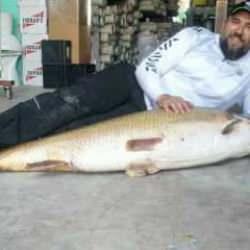 Oltasına takılan balığı görünce sevinçten havalara uçtu