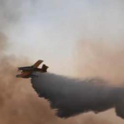 Orman yangınlarında son durum ne? İşte son gelişmeler...