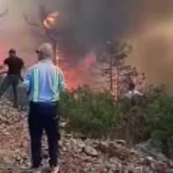 Bursa'da orman yangını