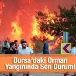 Bursa'daki orman yangınında son durum! 3 köy tahliye edildi, hasar gün ağarınca ortaya çıktı