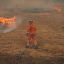 Ciğerlerimiz yanıyor! jandarma yakaladı... 3 kişi tutuklandı