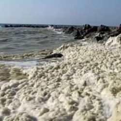 Deniz kenarında korkutan görüntü: Tüm yüzeyi kapladı, halk tedirgin!
