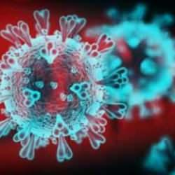 DSÖ'den Chikungunya uyarısı: 5,6 milyar kişi risk altında! Türkiye'de de görüldü