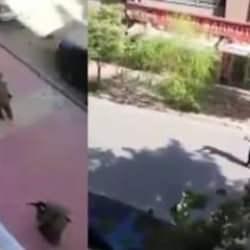 Elazığ'da hareketli anlar! Özel harekat polisini vuran adam böyle etkisiz hale getirildi!