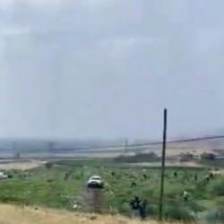 Mardin'de karpuz tarlasına yanlış bilgi akını: &Ccedil;ift&ccedil;i şoke oldu!