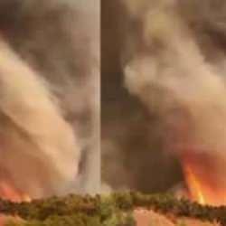 Orman yangınında dehşet anlar! Alevden hortum böyle görüntülendi