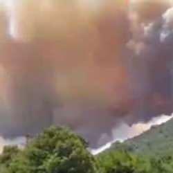 Sakarya'da bir orman yangını daha! Alevler kısa sürede büyüdü