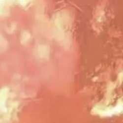 Sakarya'daki yangında nefes kesen anlar! Alev çemberinin içinde geçtiler