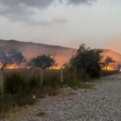 Van'da ağaçlık alanda başlayan yangın söndürüldü 