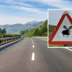 Yeni trafik levhasını g&ouml;ren bir daha bakıyor!