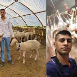 Yüksek kar vaadiyle hayvan topladı! 80 milyon liralık vurgun