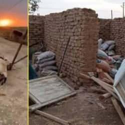 Şiddetli rüzgâr besiciye kâbusu yaşattı: 6 inek telef oldu