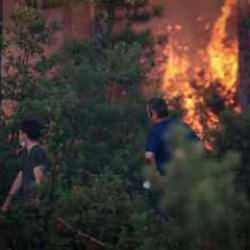 4 il alev alev yanıyor! Gözaltılar var... İşte yangınlarla ilgili son durum