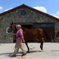 Küçük olduğuna bakmayın, fiyatları 10 milyon liraya kadar çıkıyor