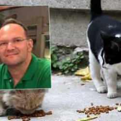 Acı son! Kedi tüyü hayattan kopardı