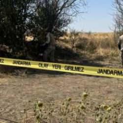 Edirne'de tarlada cinayet: Katilin itirafı kan dondurdu! 